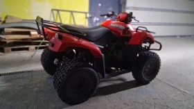 Arctic Cat TBX 300 кубика , снимка 8