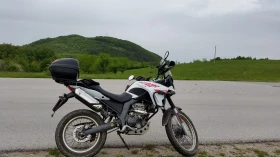  Derbi Terra