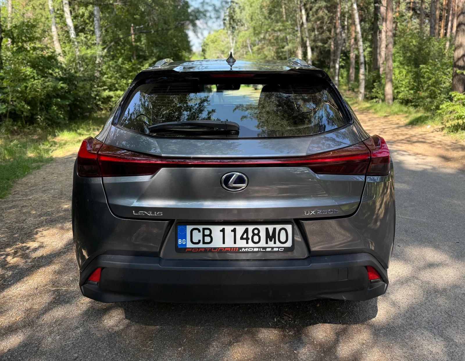 Lexus UX 250h  - изображение 5