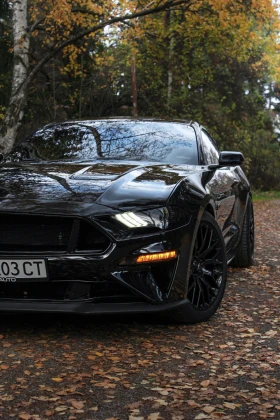 Ford Mustang GT 750HP ROUSH, снимка 1