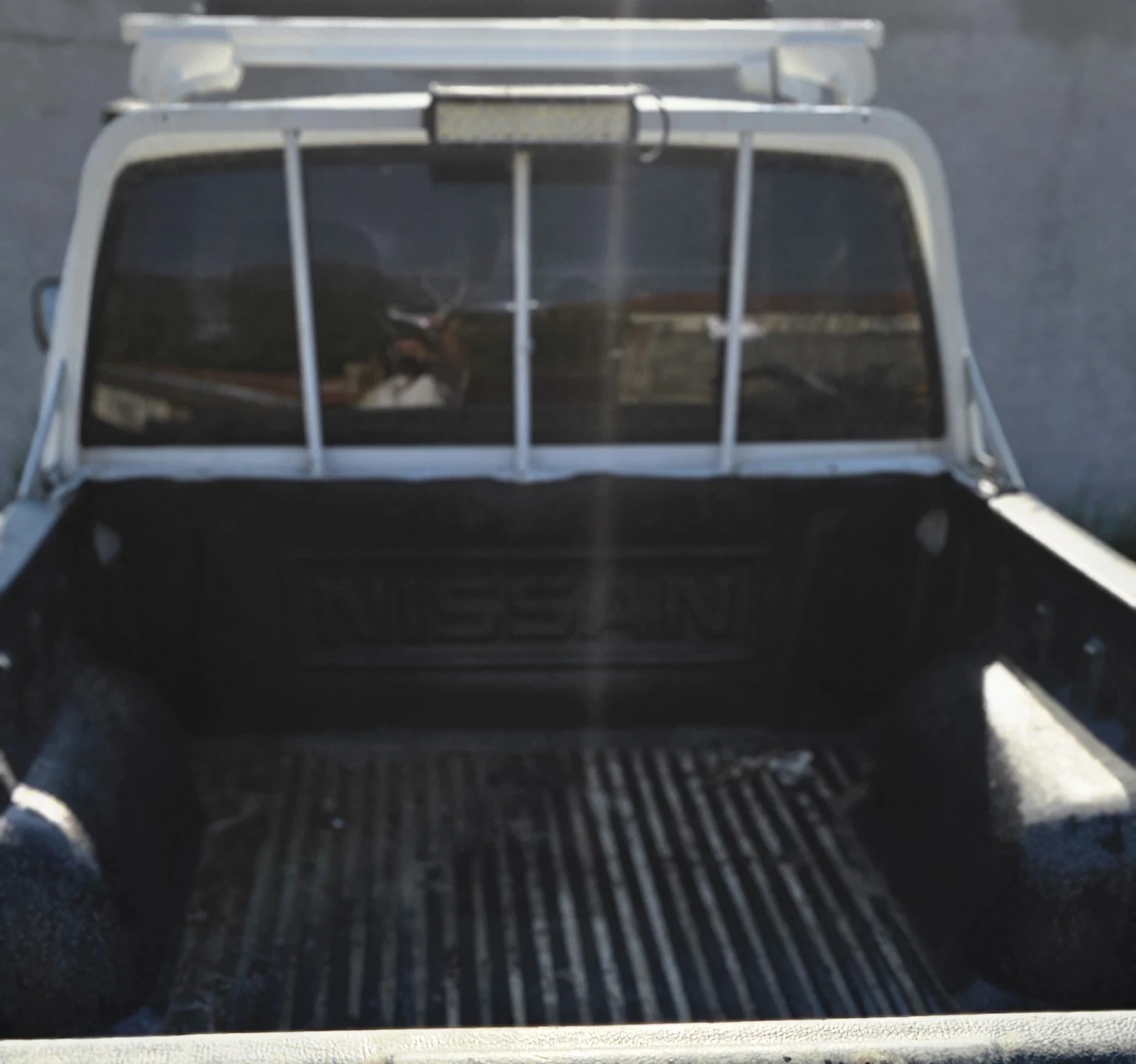 Nissan Navara �� | Mobile.bg � ����������� 10