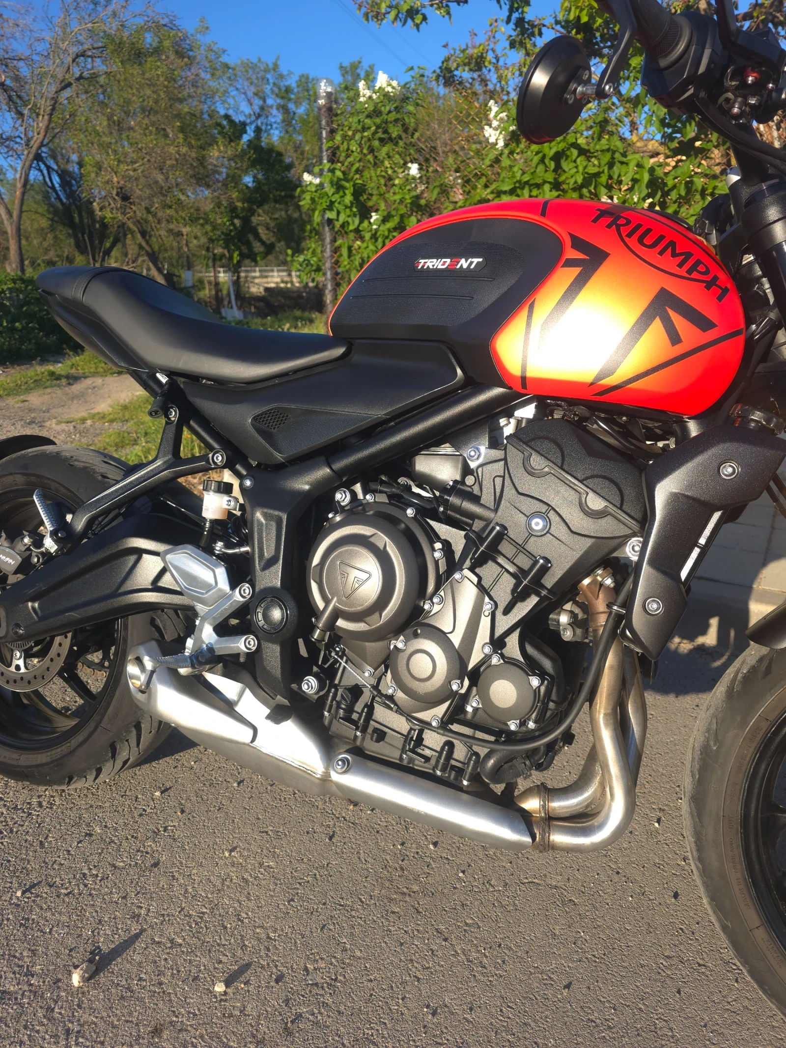 Triumph Trident | Mobile.bg   16