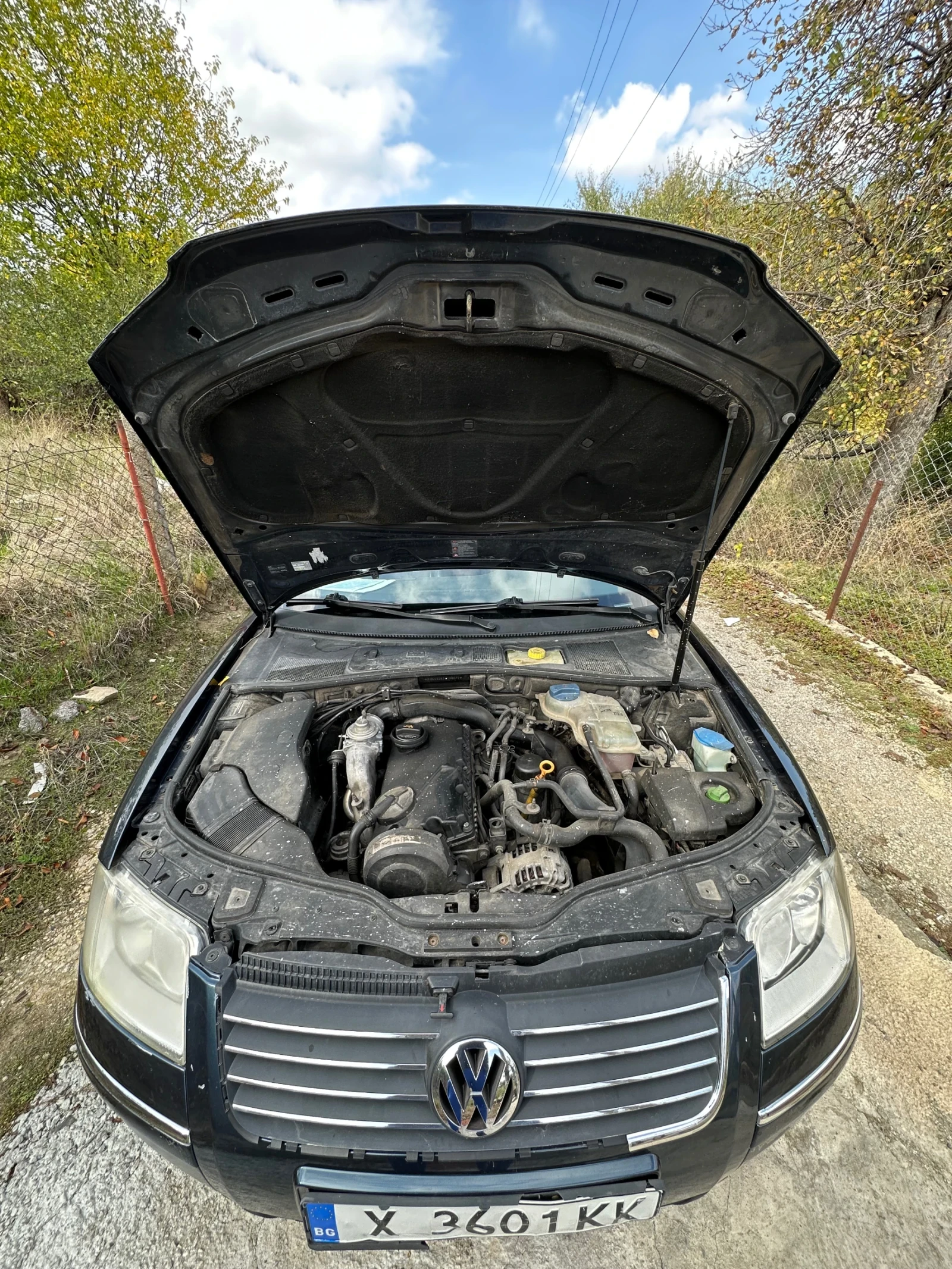 VW Passat | Mobile.bg   8