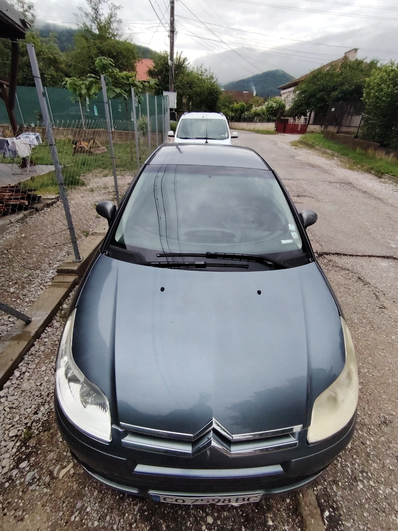 Citroen C4 1.4, снимка 10 - Автомобили и джипове - 54658249