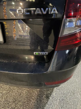 Skoda Octavia 1.5 G-TEC - 9150 € / 17895.84 лв. - 30234265 7
