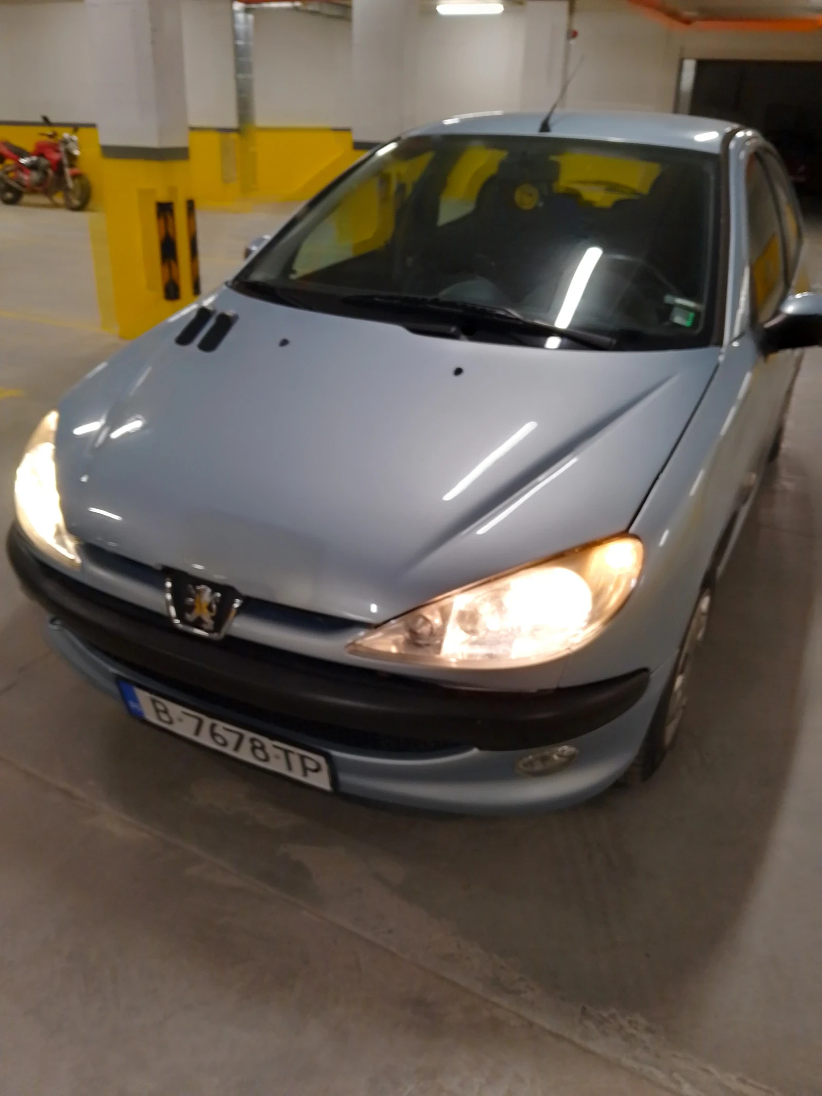 Peugeot 206 Нама