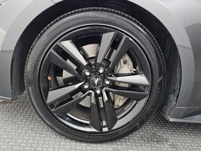 Ford Mustang 3.7 V6 - изображение 5