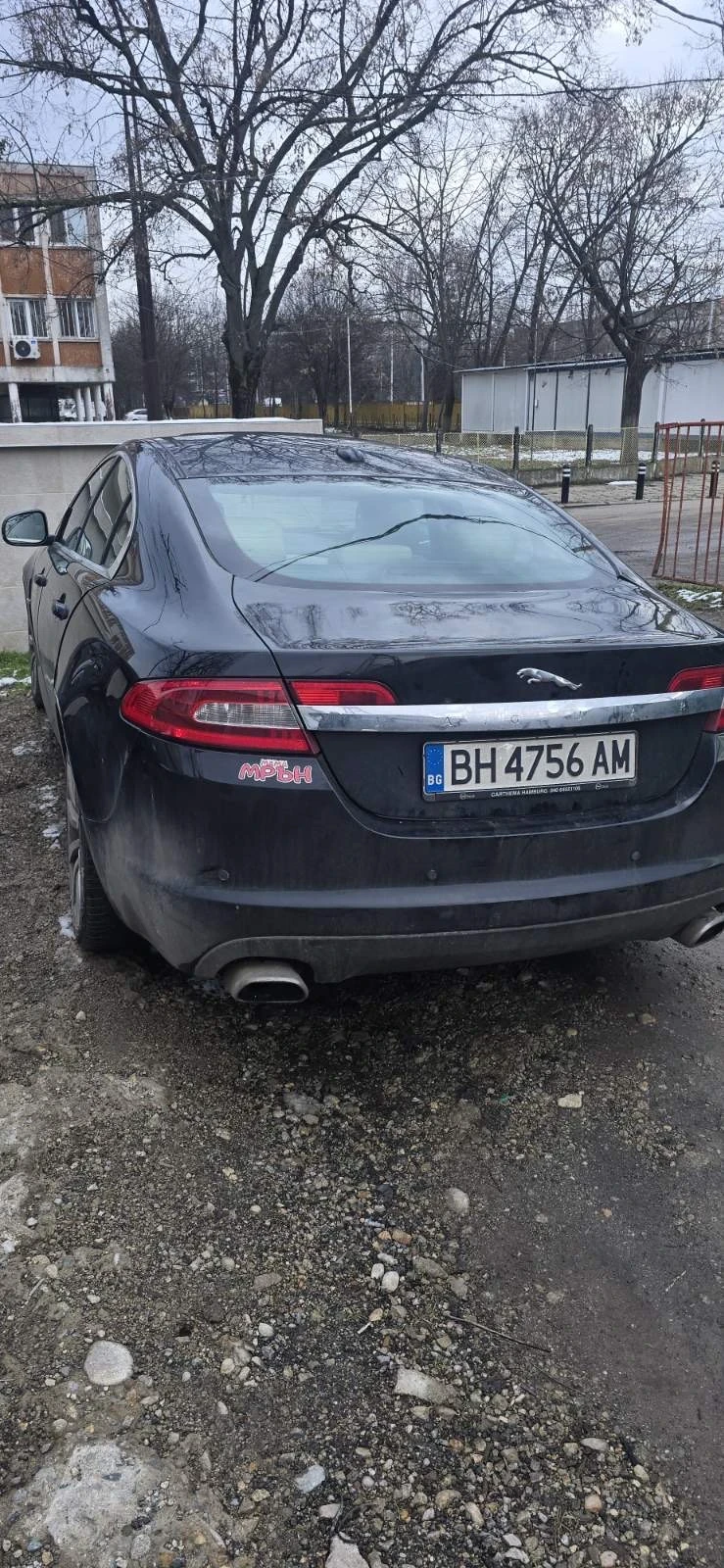 Jaguar Xf