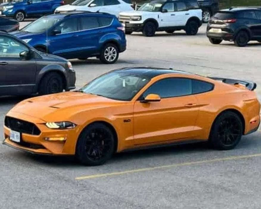 Ford Mustang * GT * CARFAX * ����� �� ����������� | Mobile.bg � ����������� 1
