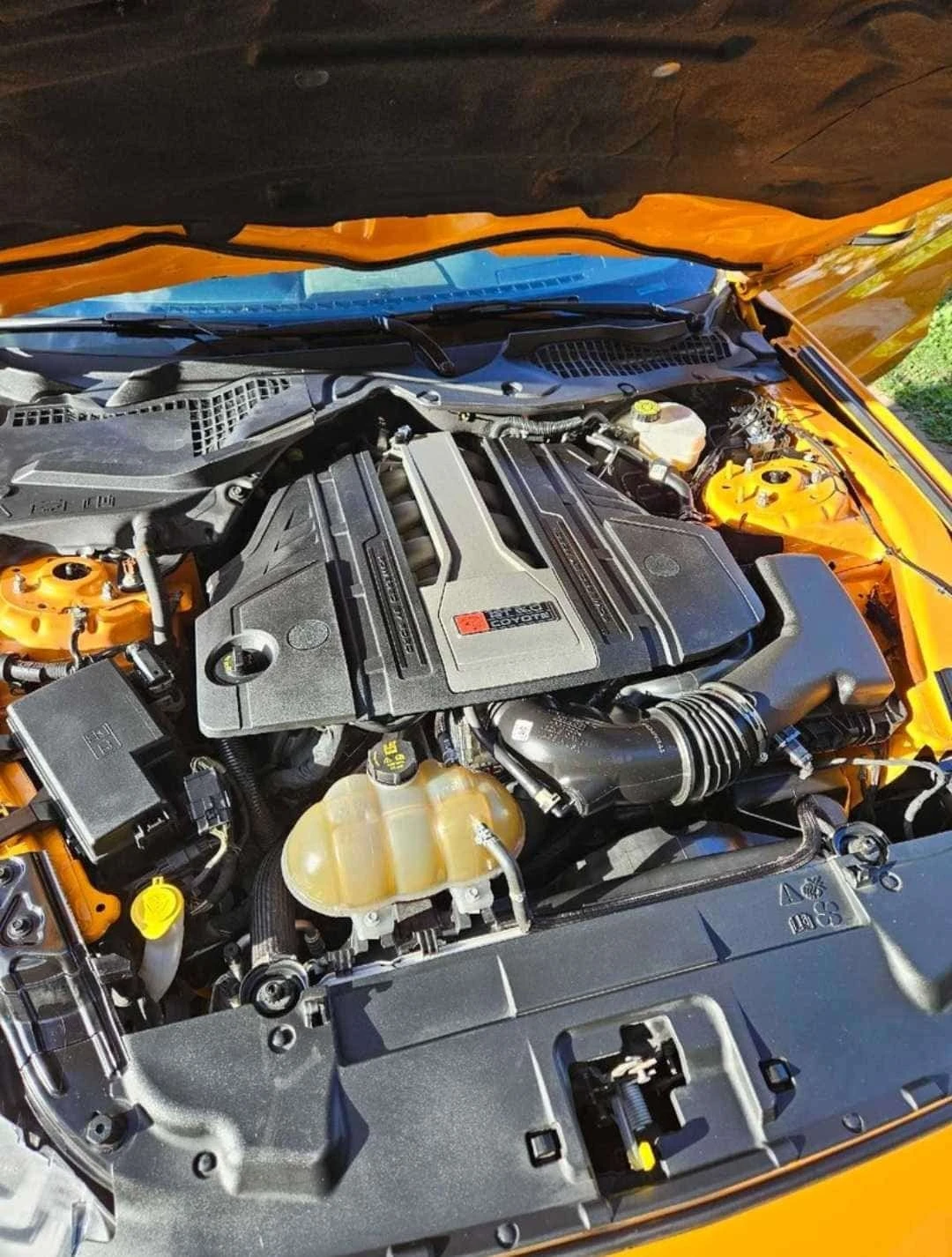 Ford Mustang * GT * CARFAX * ����� �� ����������� | Mobile.bg � ����������� 10