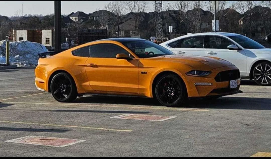 Ford Mustang * GT * CARFAX * ����� �� ����������� | Mobile.bg � ����������� 3