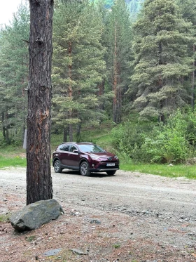 Toyota Rav4 Luxury , снимка 1