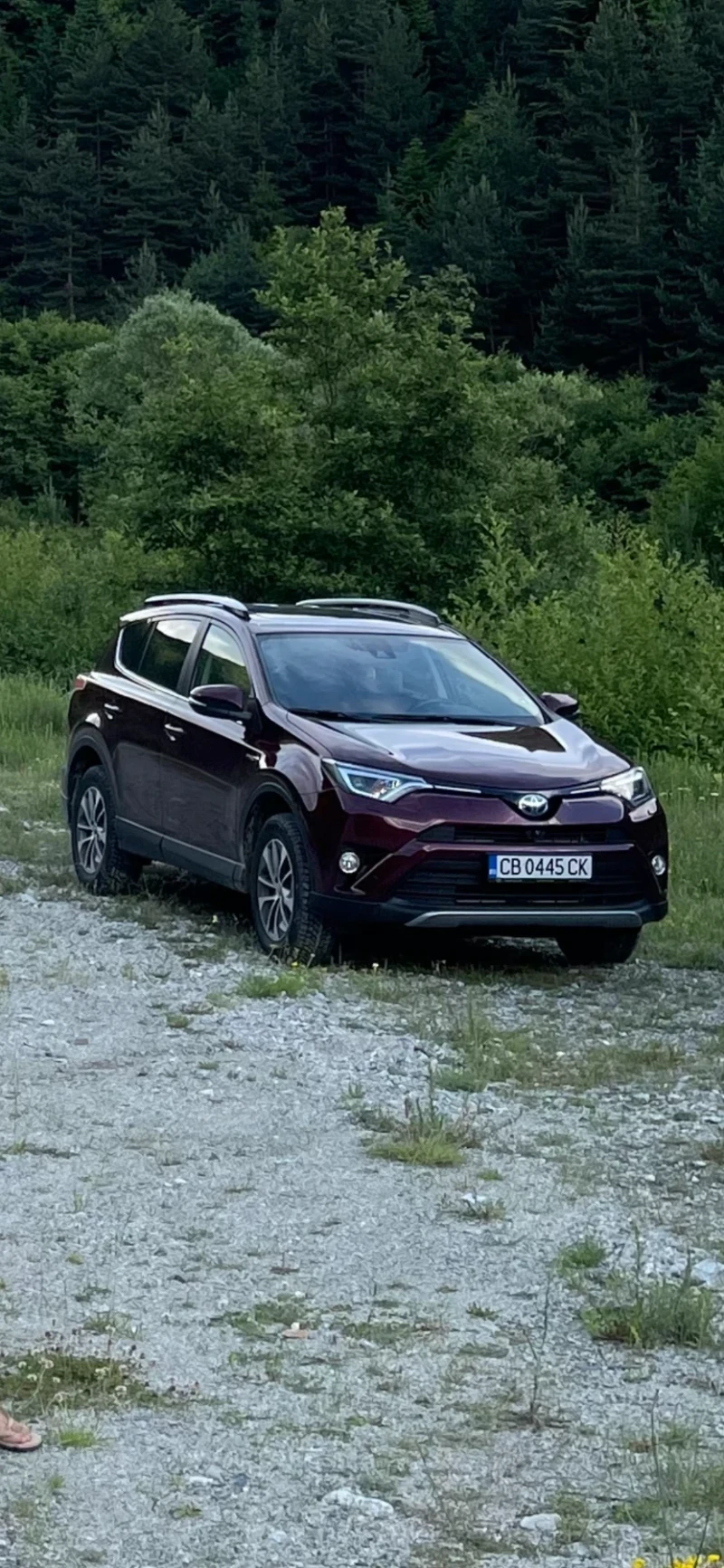 Toyota Rav4 Luxury , снимка 16 - Автомобили и джипове - 53428595