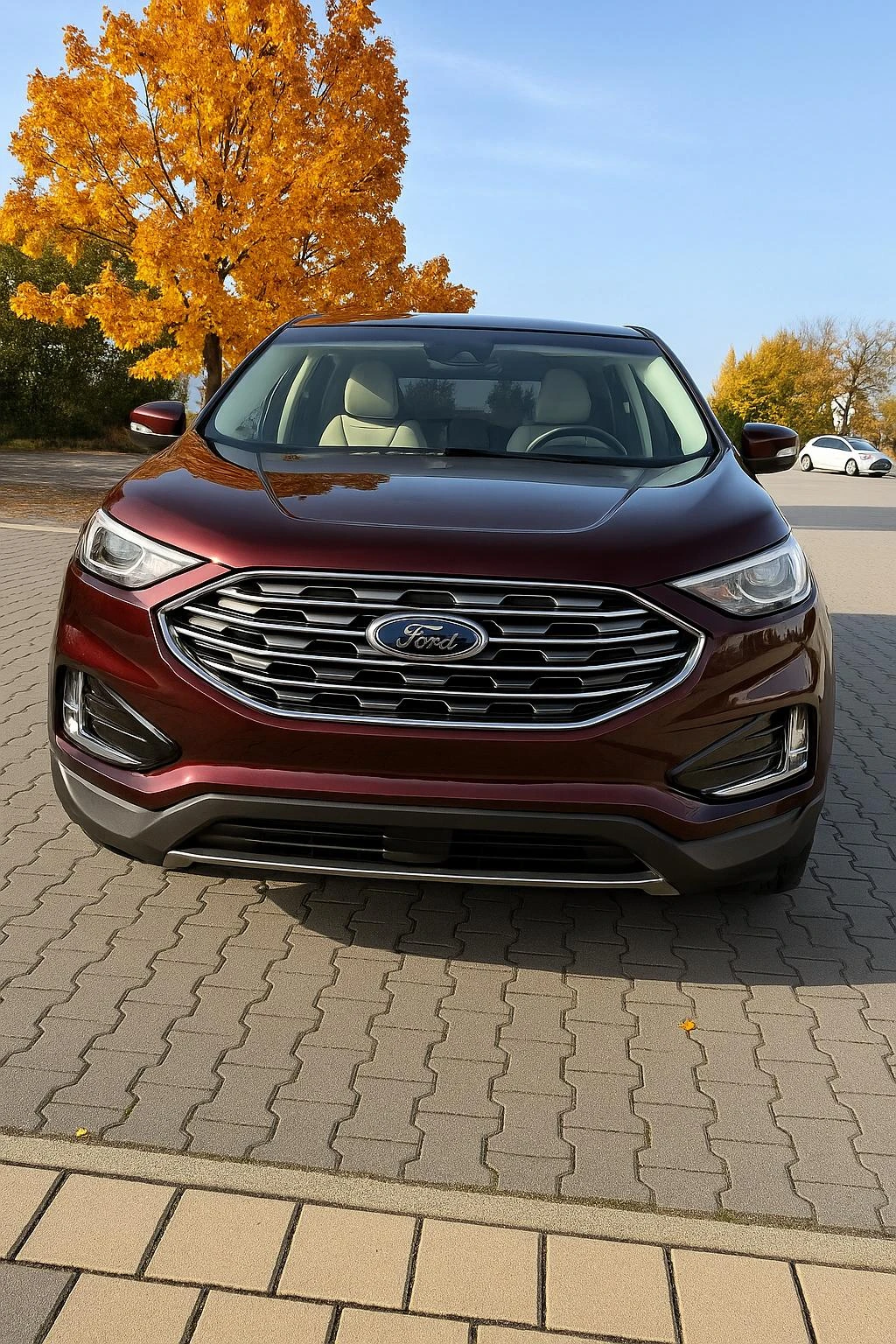 Ford Edge Titanium AWD 2.0 EcoBoost, снимка 4 - Автомобили и джипове - 54870650