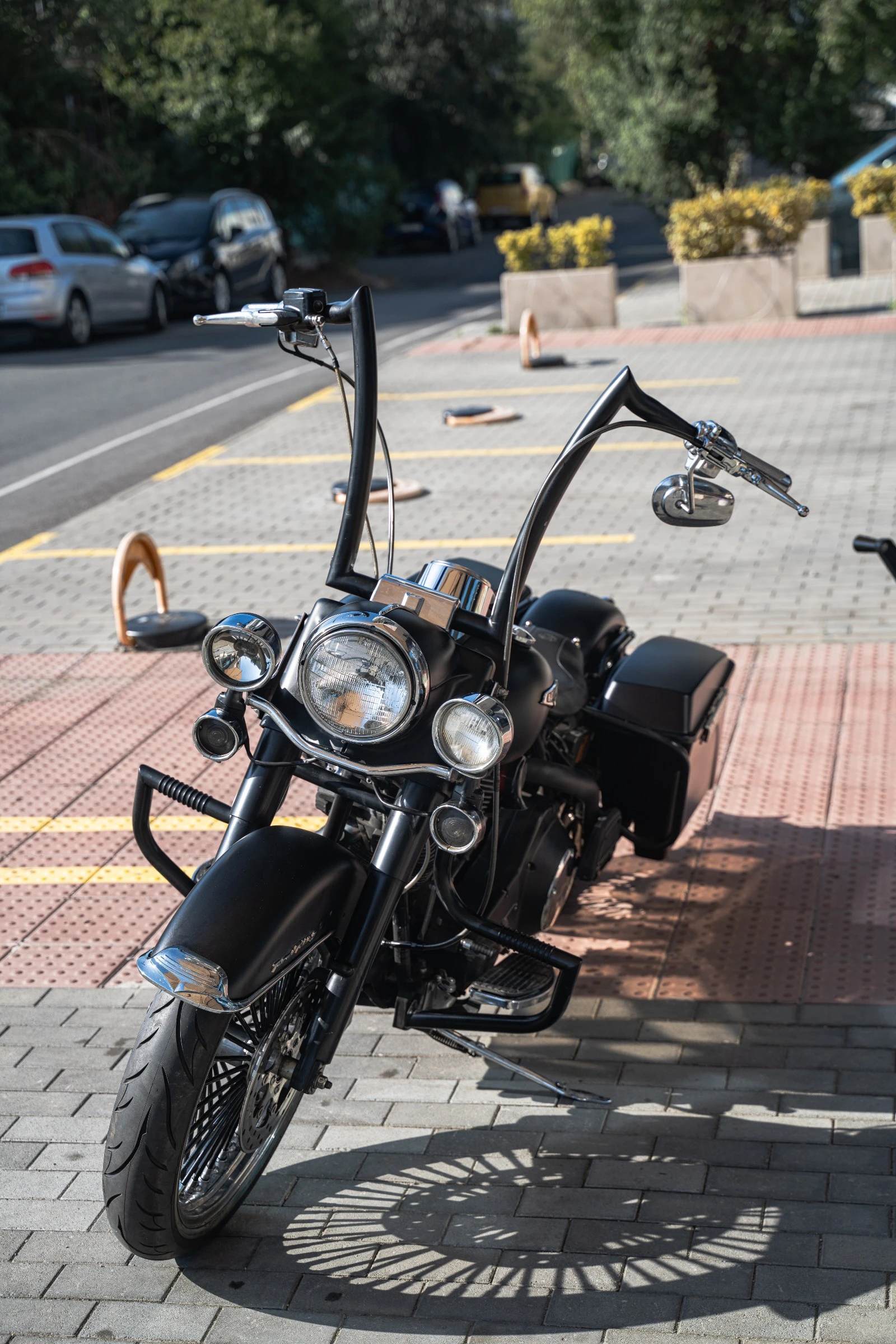 Harley-Davidson Custom Chicano, снимка 3 - Мотоциклети и мототехника - 56068449