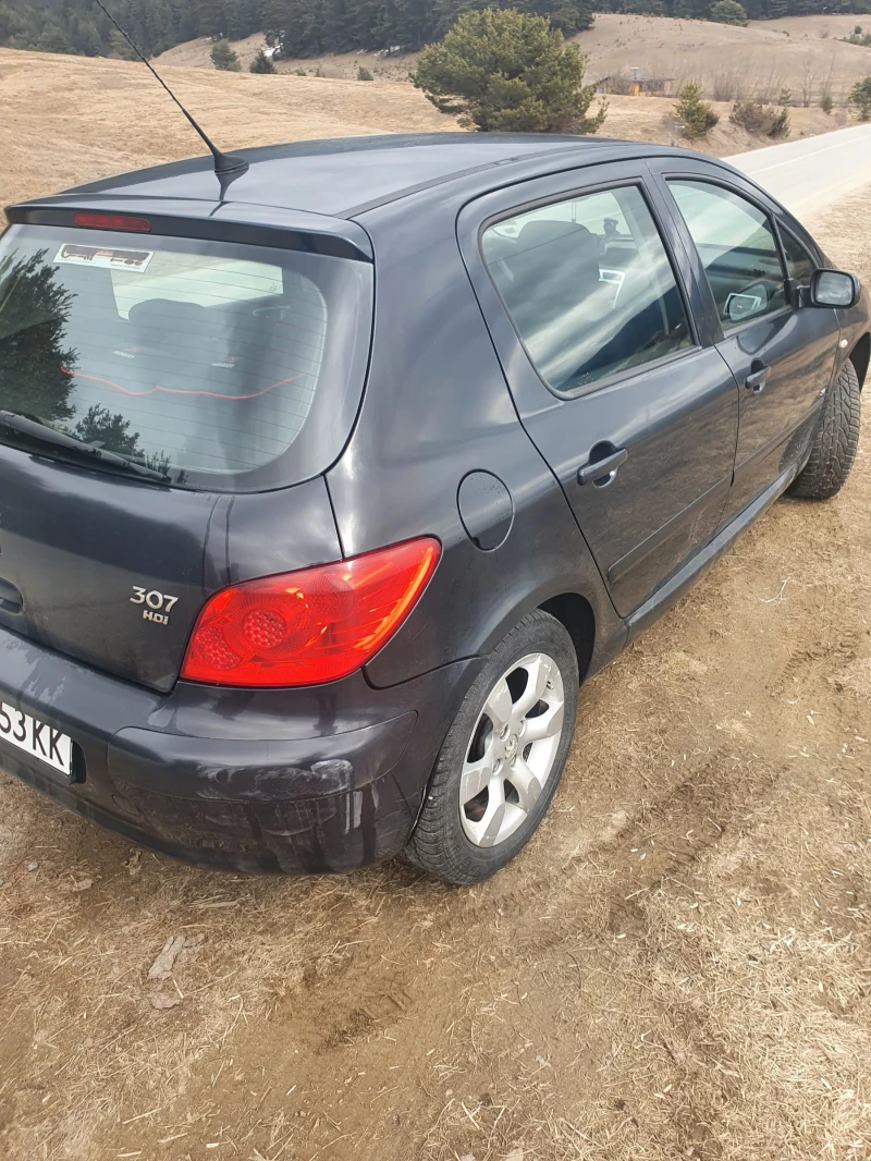 Peugeot 307, снимка 4 - Автомобили и джипове - 49270341