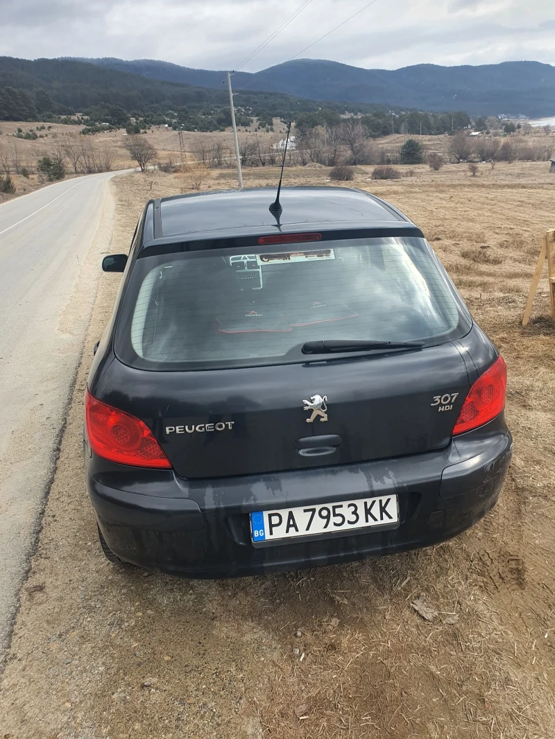 Peugeot 307, снимка 3 - Автомобили и джипове - 49270341