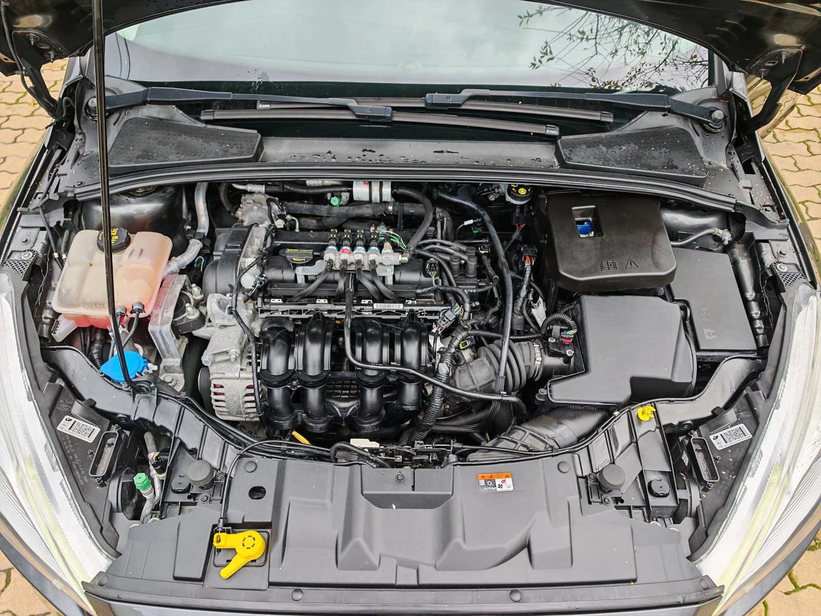 Ford Focus = 1.6= -  | Mobile.bg   15