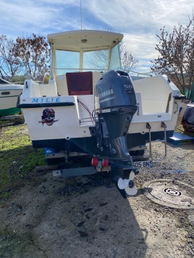     CLEAR-LINER 530 | Mobile.bg    8