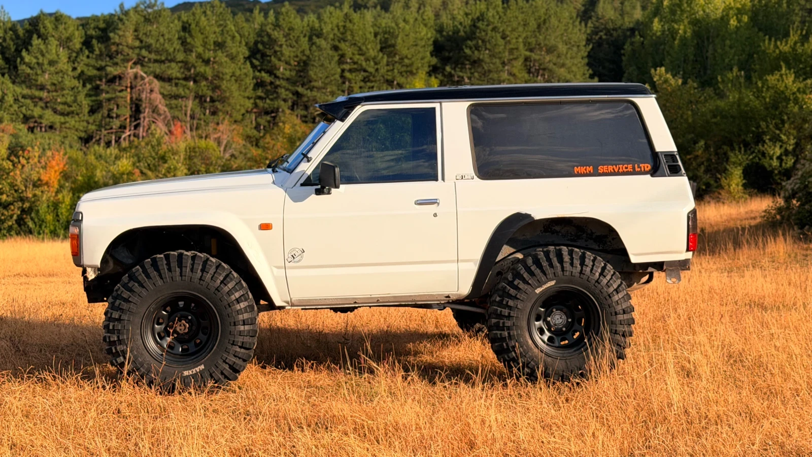 Nissan Patrol, снимка 4 - Автомобили и джипове - 56263797