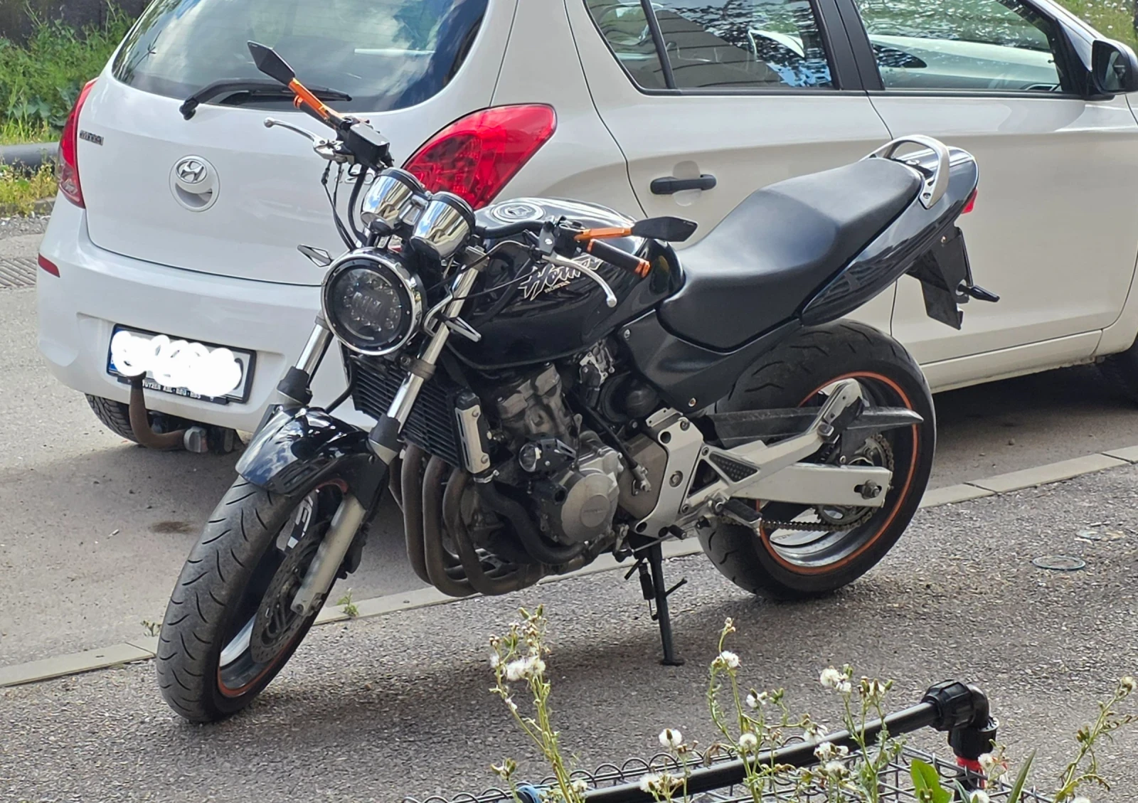 Honda Hornet