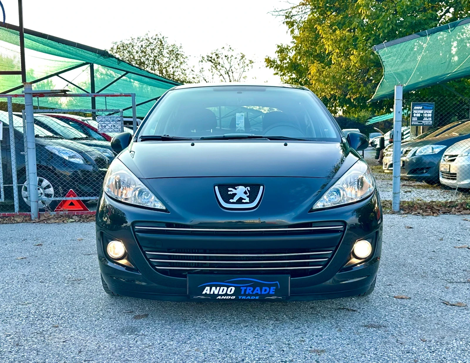 Peugeot 207 1.6 HDI  - изображение 2