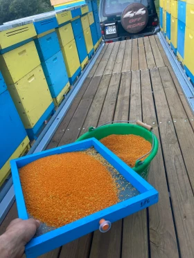 �� ��������� | Mobile.bg � ����� ������ 3