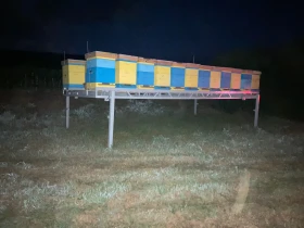 �� ��������� | Mobile.bg � ����� ������ 2