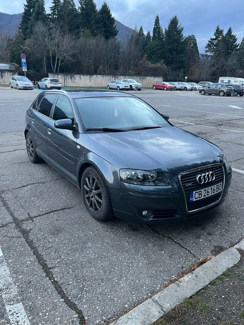 Audi A3 Sportback(8P)BMM/S-line