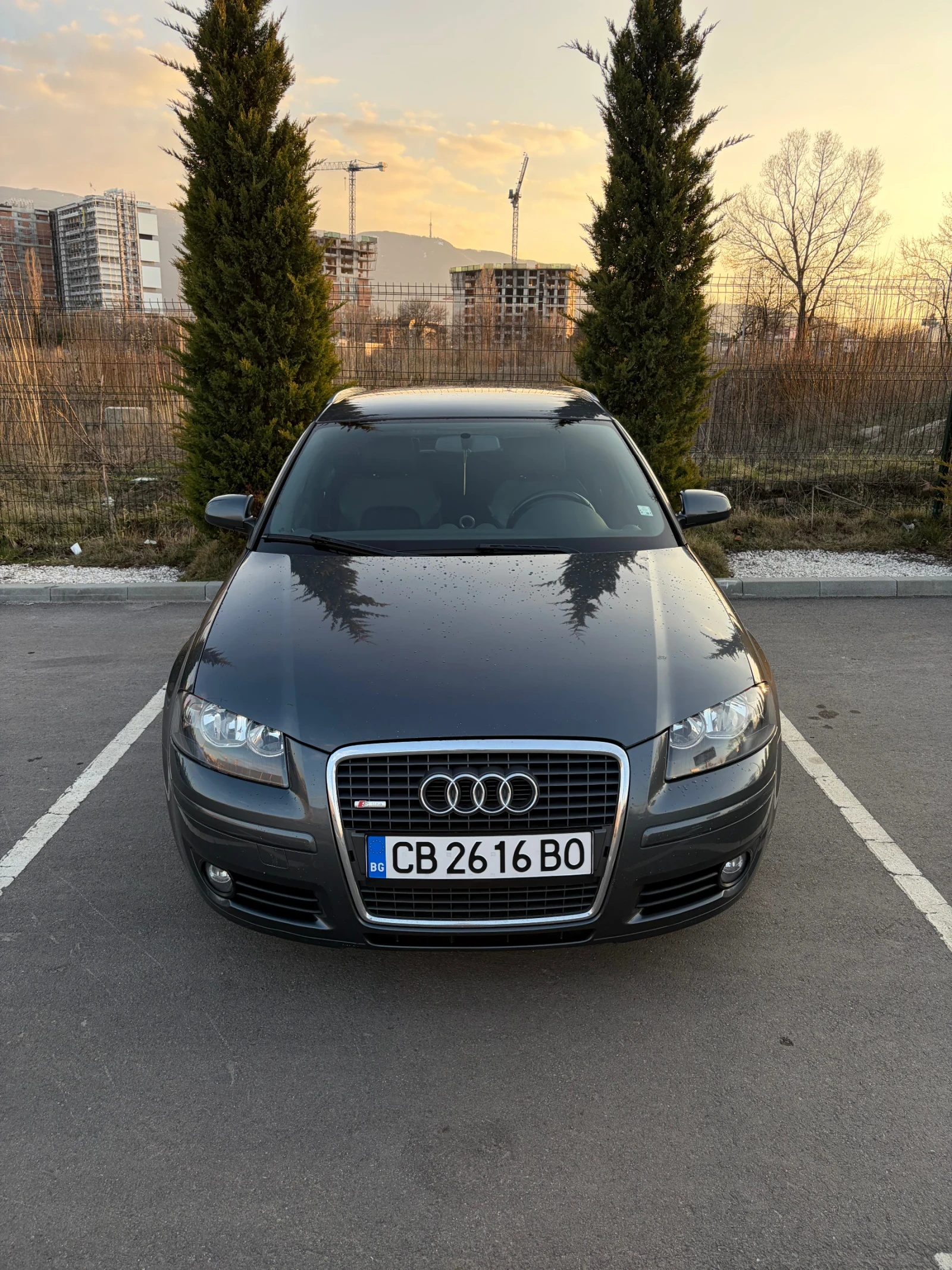 Audi A3 Sportback(8P)BMM/S-line