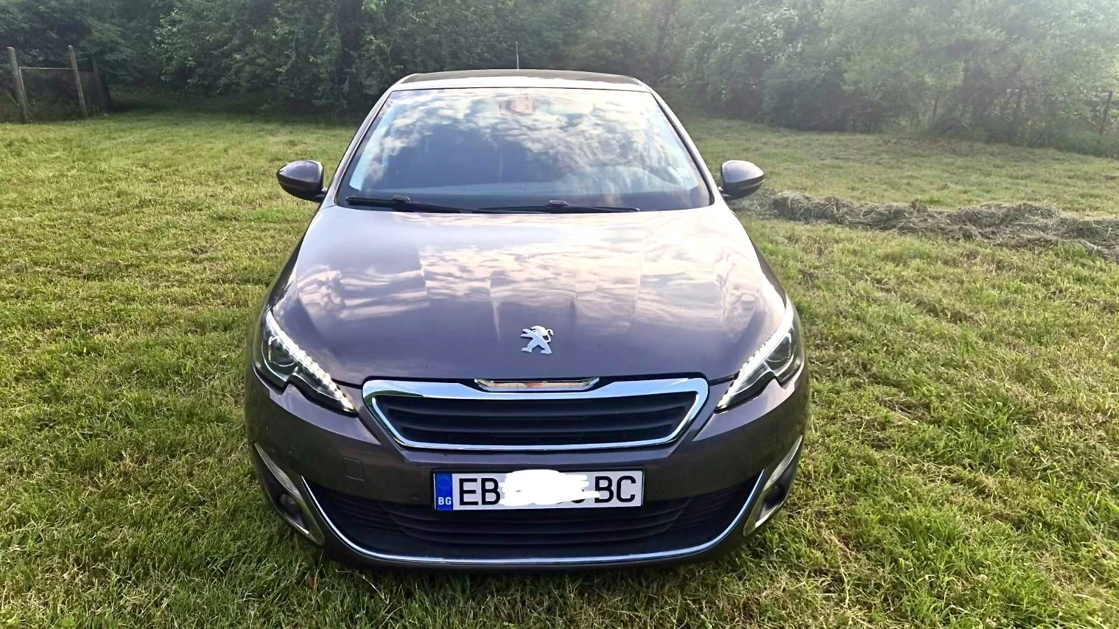 Peugeot 308 1.6HDI, снимка 2 - Автомобили и джипове - 56616843