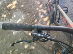      Whip 50