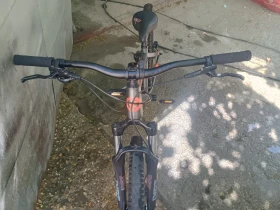  Whip 50 | Mobile.bg    4