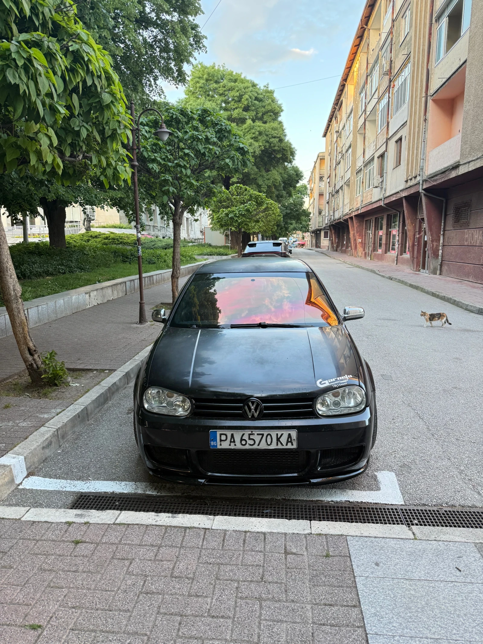 VW Golf