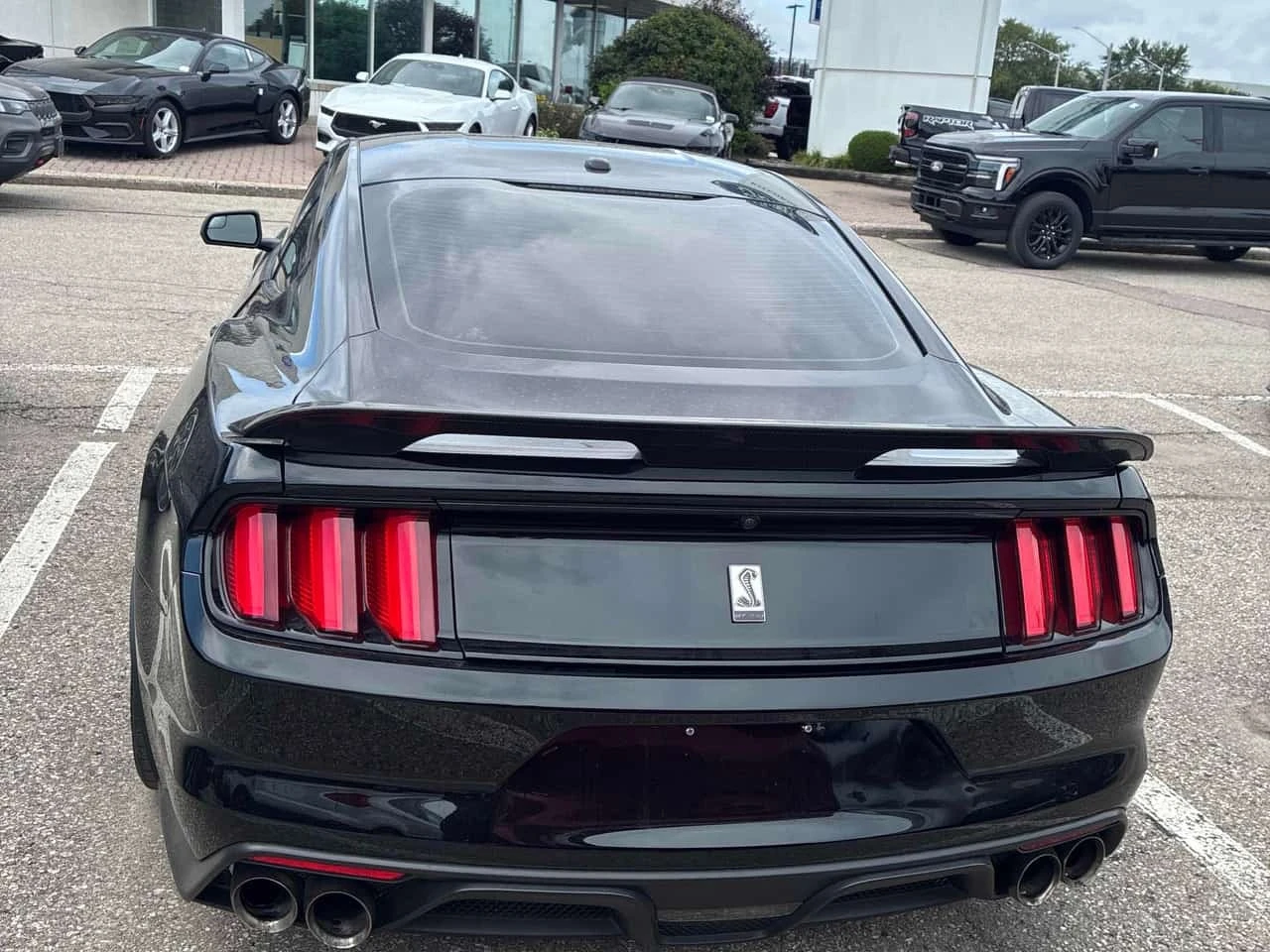 Ford Mustang * Shelby * CARFAX * ��� ������������ ������ | Mobile.bg � ����������� 4