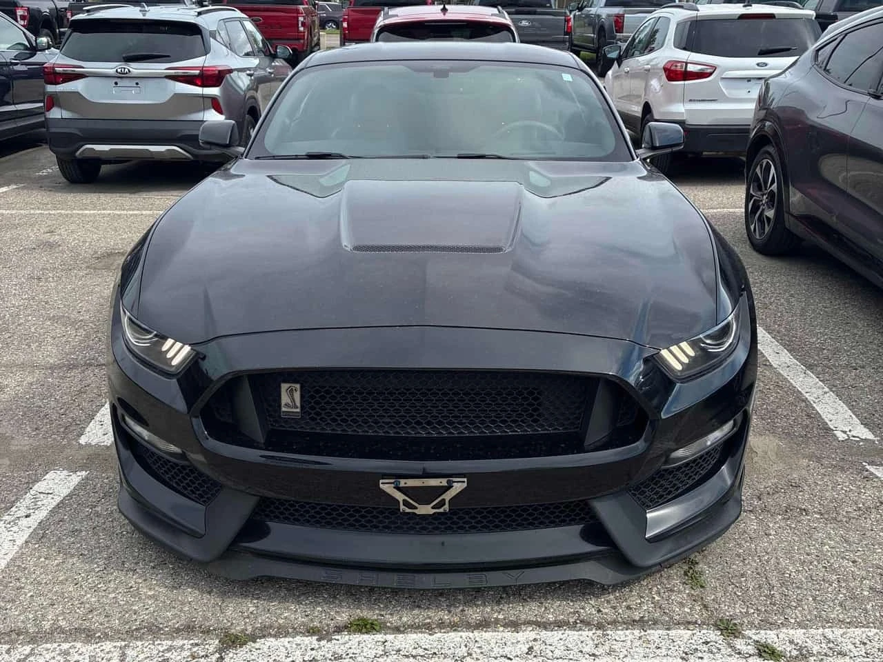 Ford Mustang * Shelby * CARFAX * ��� ������������ ������ | Mobile.bg � ����������� 6