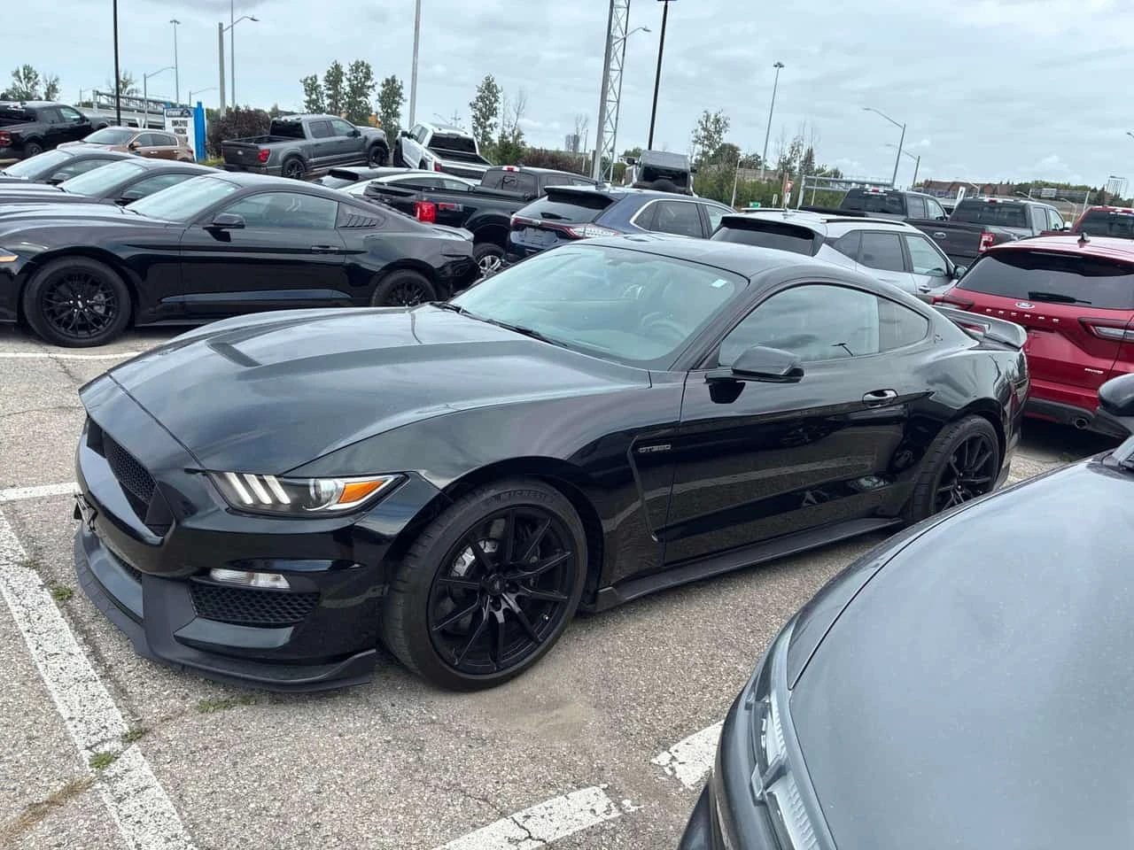 Ford Mustang * Shelby * CARFAX * ��� ������������ ������ | Mobile.bg � ����������� 2