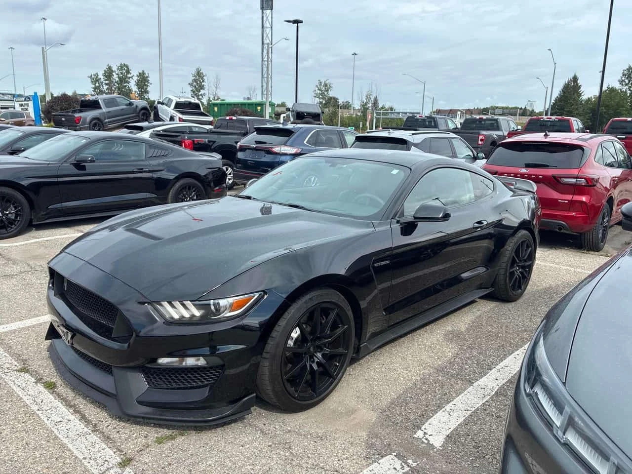 Ford Mustang * Shelby * CARFAX * БЕЗ ПЪРВОНАЧАЛНА ВНОСКА