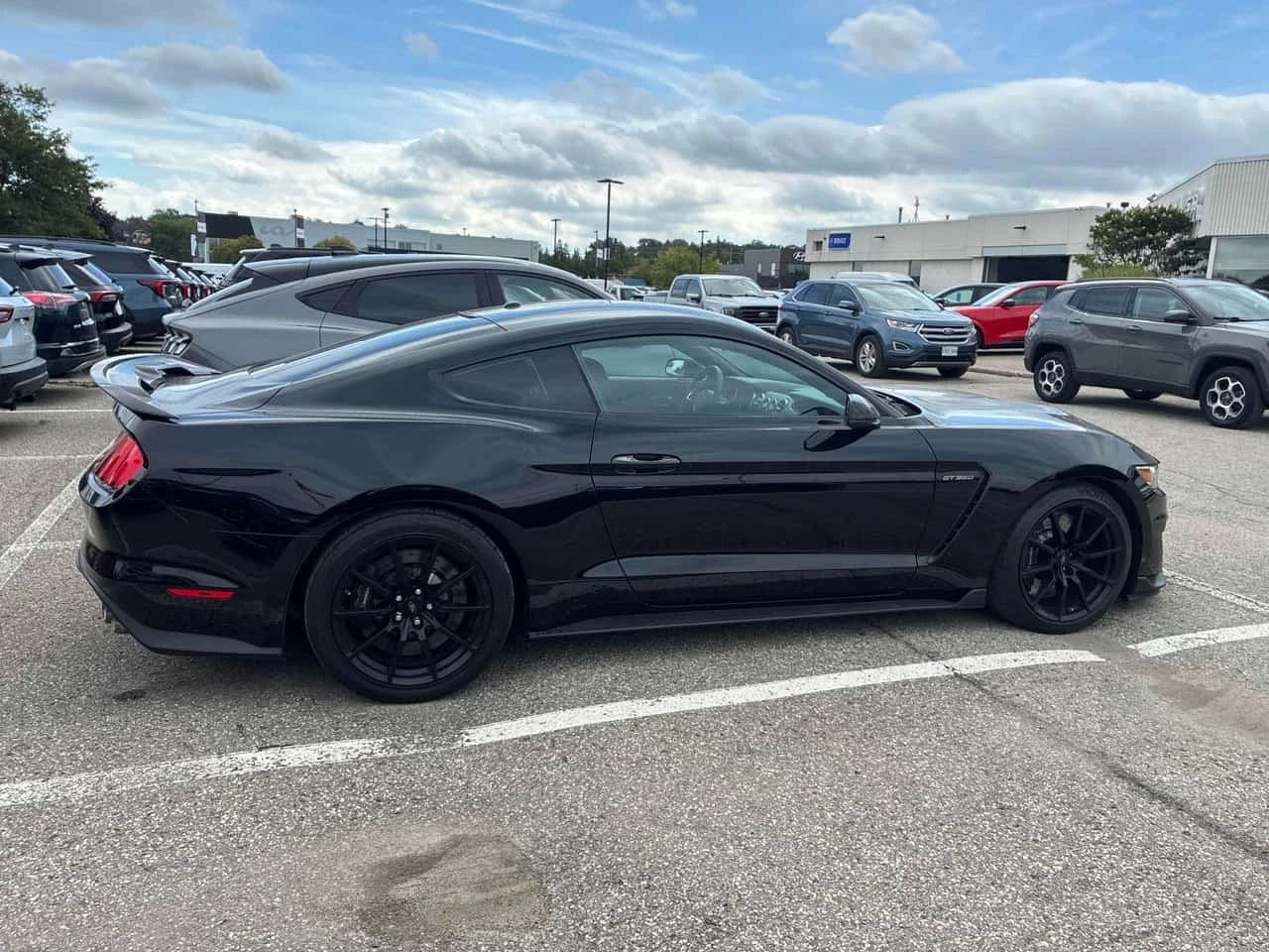 Ford Mustang * Shelby * CARFAX * ��� ������������ ������ | Mobile.bg � ����������� 3