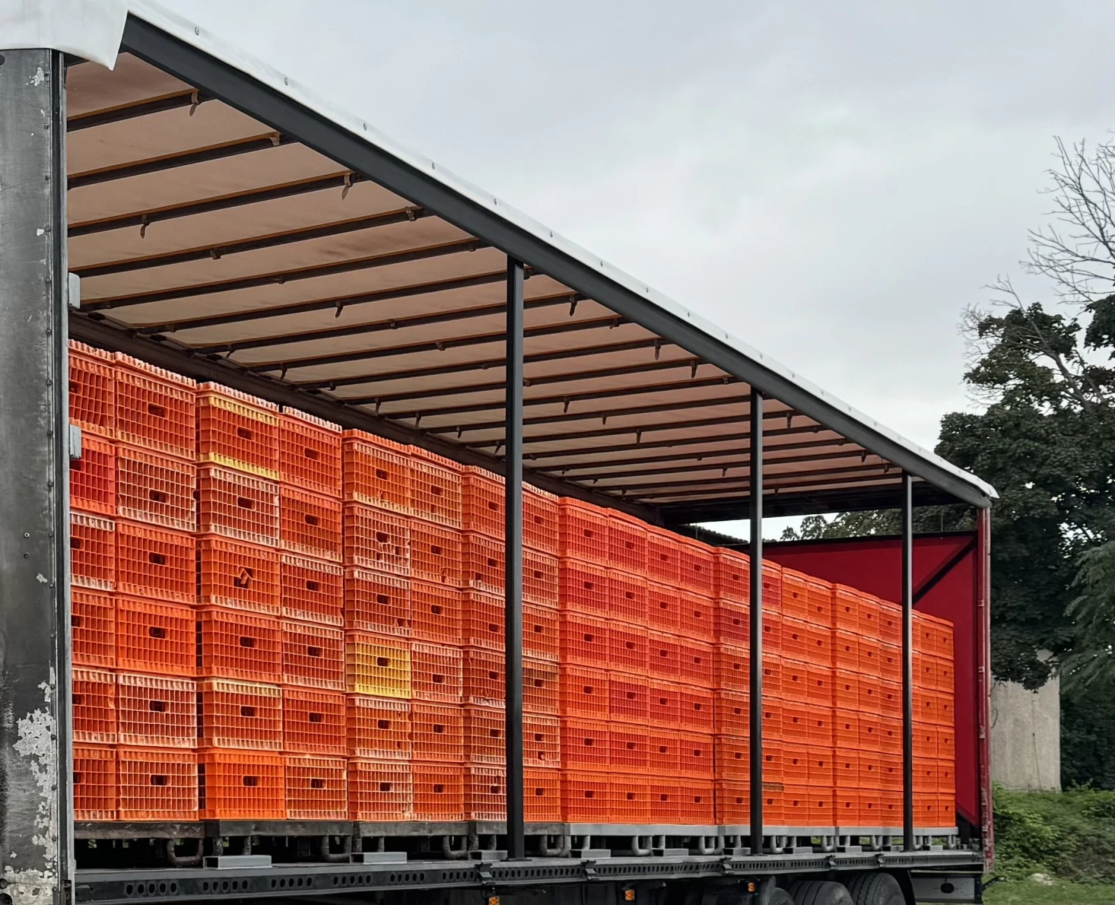 ����������� Koegel ������� | Mobile.bg � ����������� 10