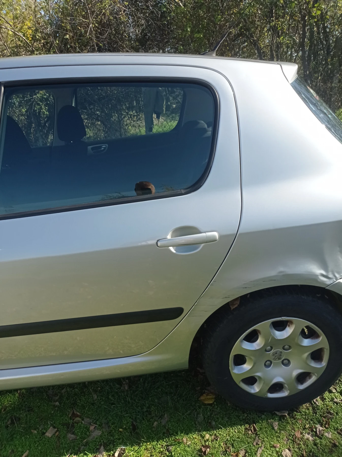 Peugeot 307, снимка 5 - Автомобили и джипове - 54154208