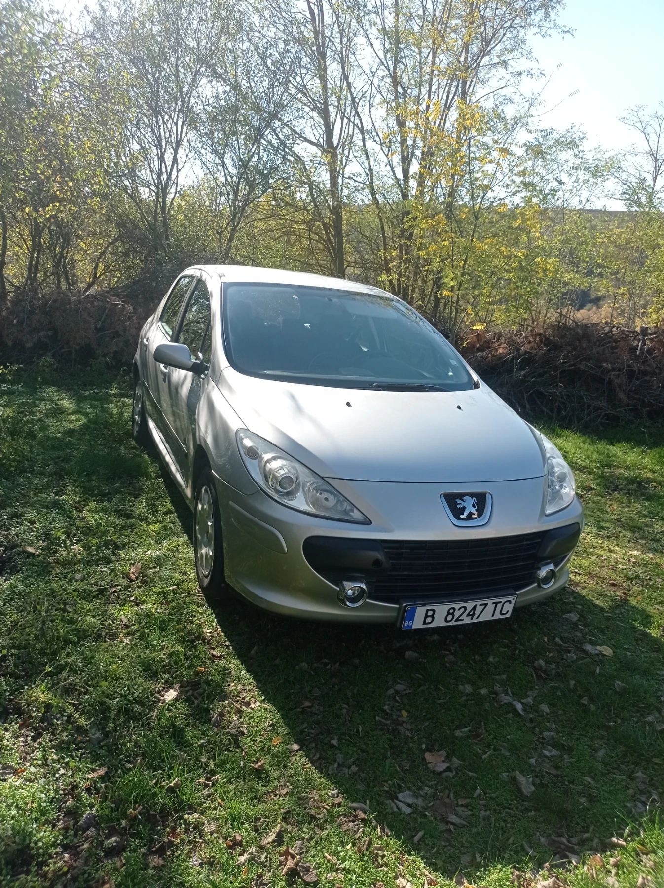 Peugeot 307, снимка 2 - Автомобили и джипове - 54154208