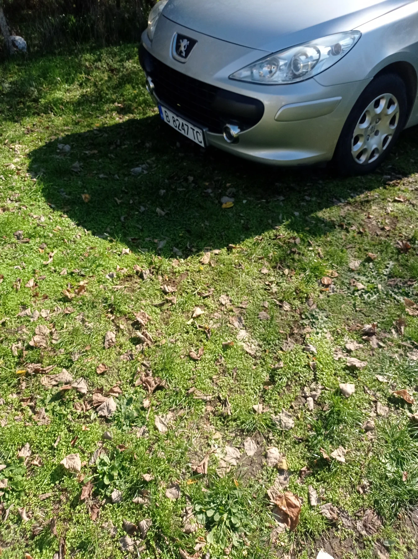 Peugeot 307, снимка 8 - Автомобили и джипове - 54154208