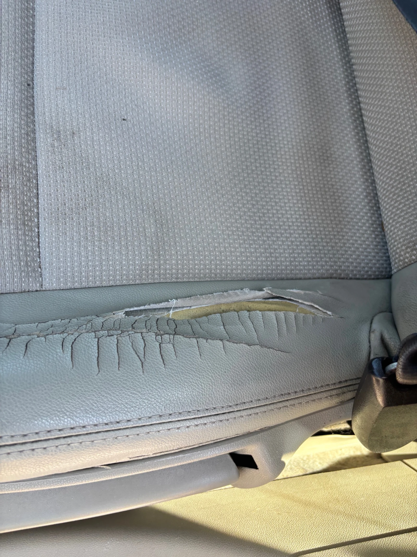 Renault Megane, снимка 5 - Автомобили и джипове - 55189026