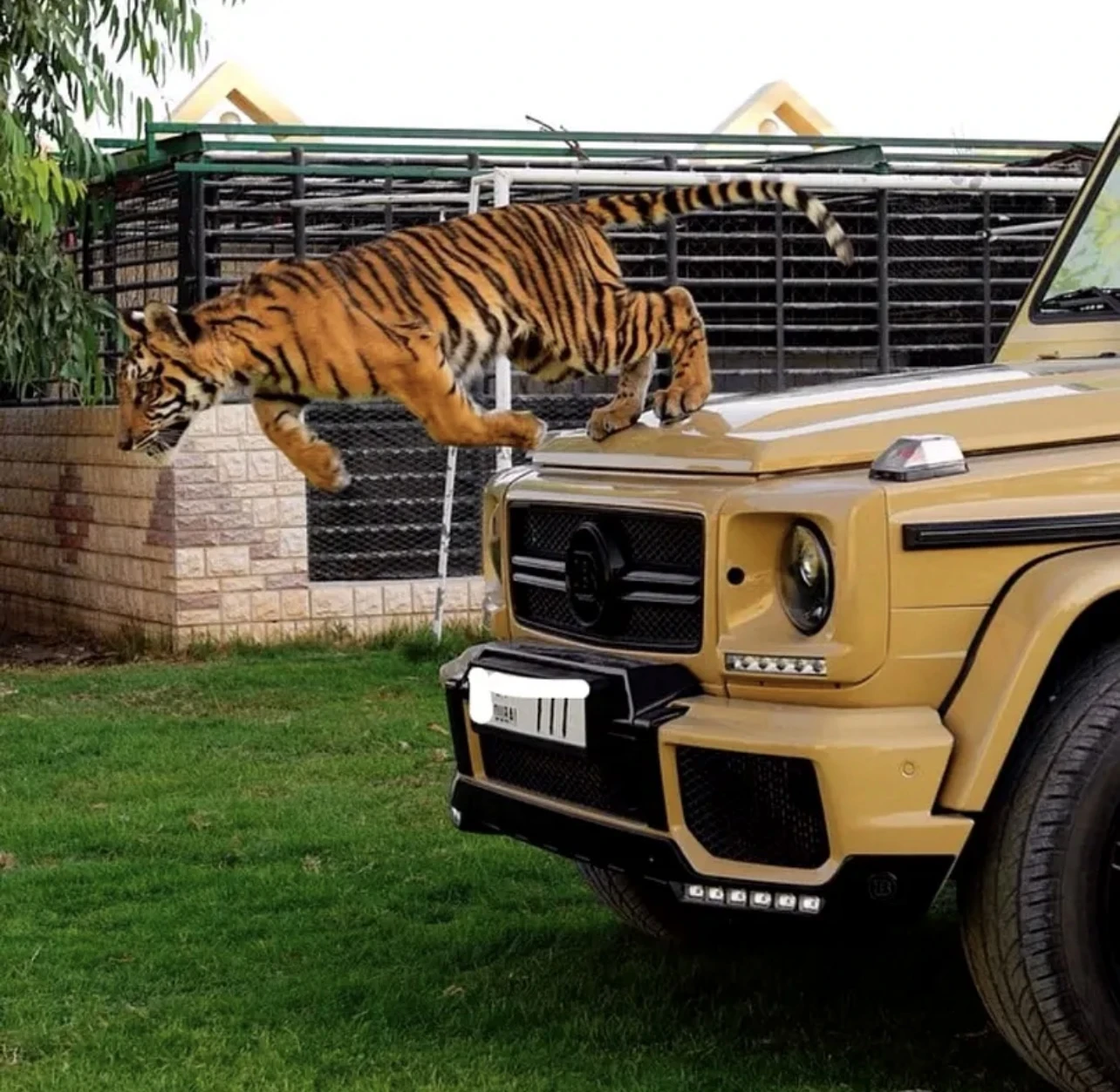 Mercedes-Benz G 63 AMG G700, снимка 2 - Автомобили и джипове - 54220154