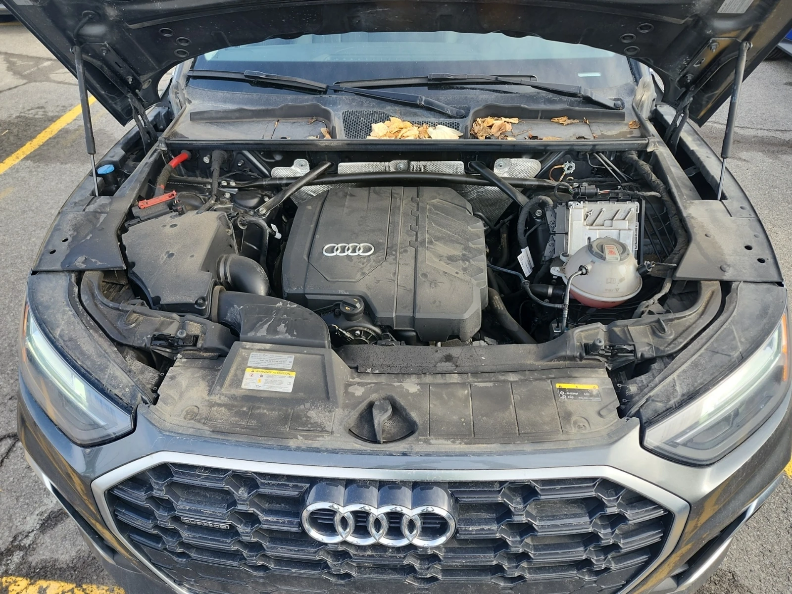 Audi Q5 * CARFAX *    | Mobile.bg   11