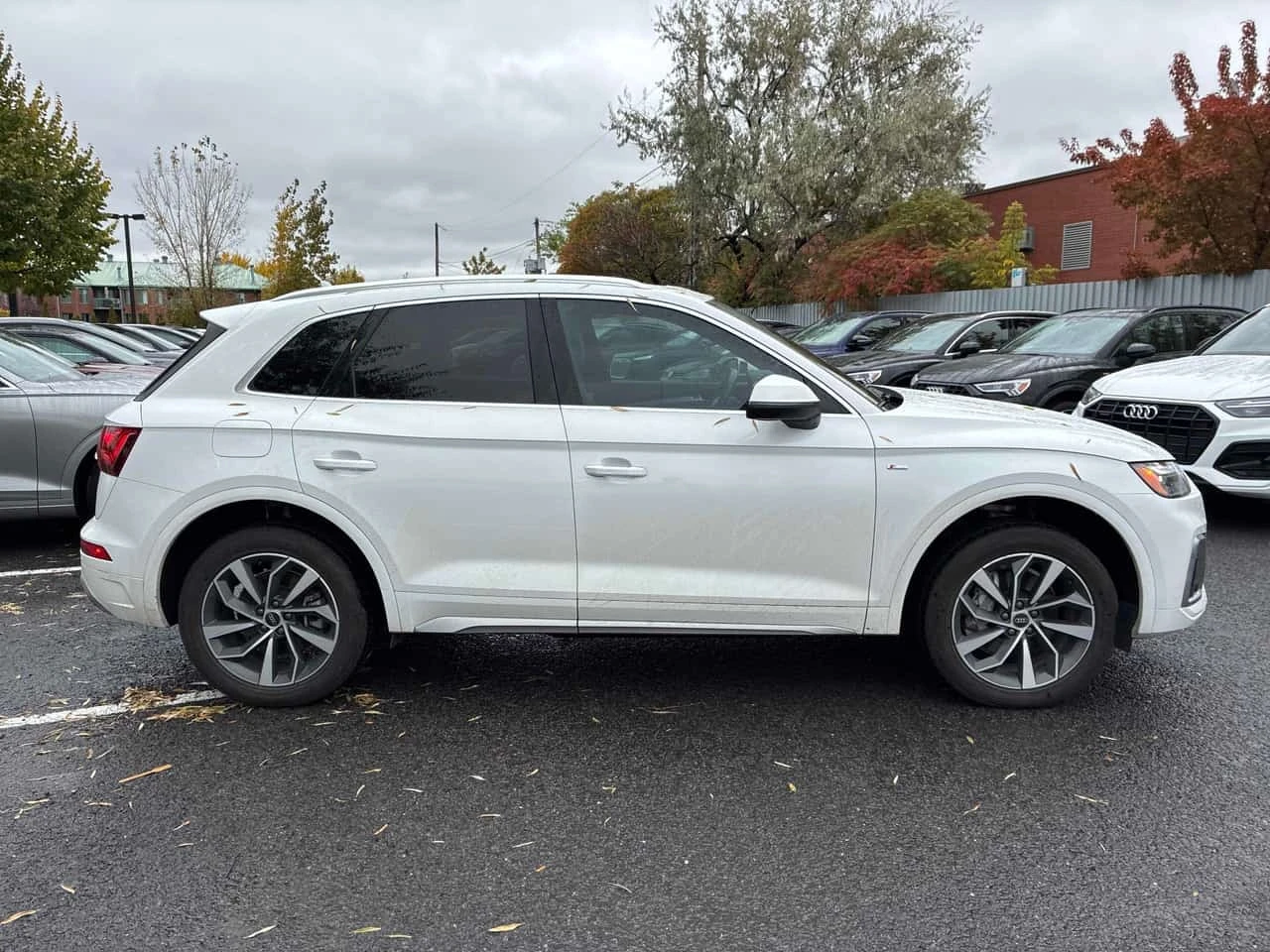 Audi Q5 Progressiv / Distronic / Carfax / ����������  | Mobile.bg � ����������� 5