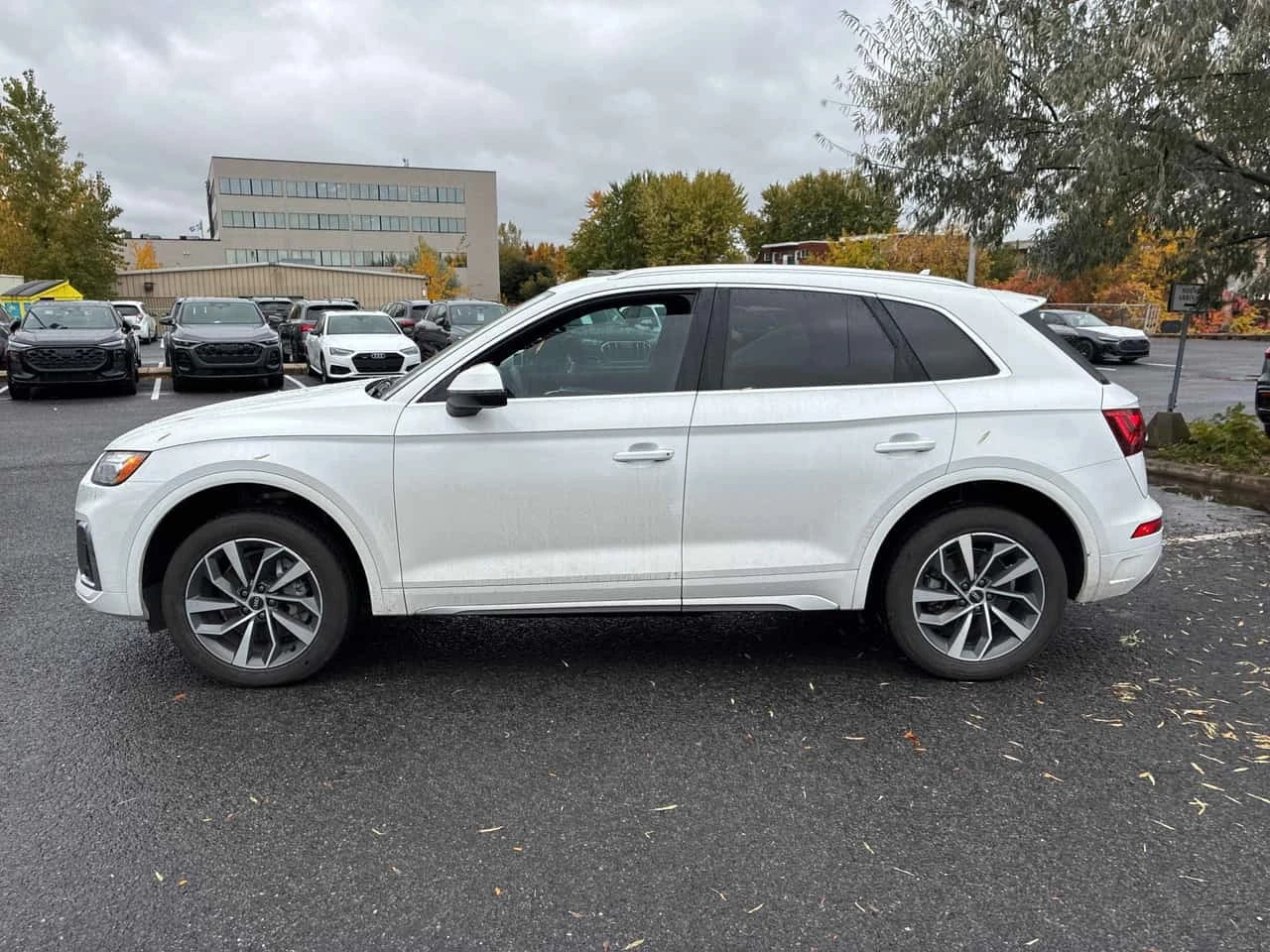Audi Q5 Progressiv / Distronic / Carfax / ����������  | Mobile.bg � ����������� 4