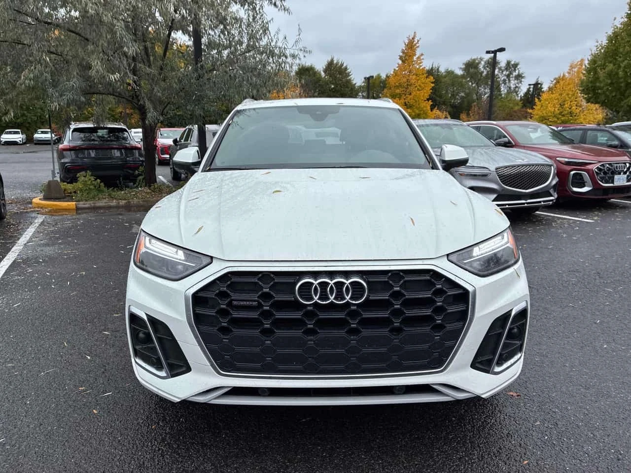 Audi Q5 Progressiv / Distronic / Carfax / ����������  | Mobile.bg � ����������� 13