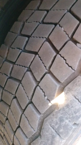 Man Tgx  | Mobile.bg    10